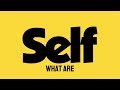 sElf - What are you thinking - fan lyric thing