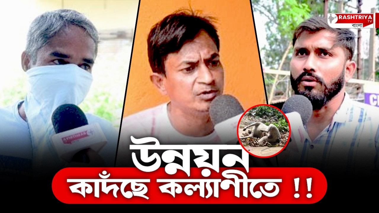 Kalyani News: উন্নয়ন কাদঁছে কল্যাণীতে ! কি ভাবছেন আমজনতা ? | Bangla News | West Bengal