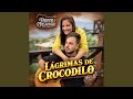 Lágrimas De Crocodilo
