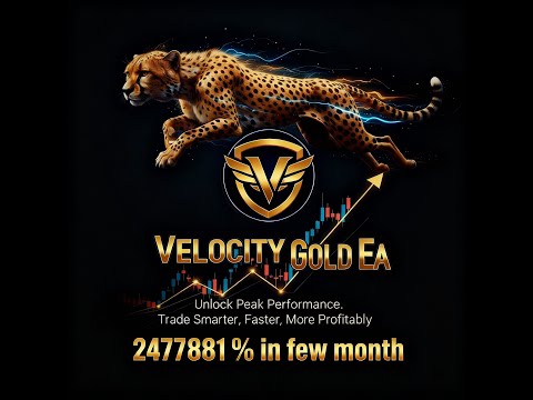 Video Velocity Gold EA