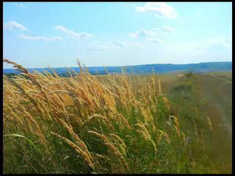 Valea Mare, Judetul Vâlcea-VLM2015 ( Oficial )