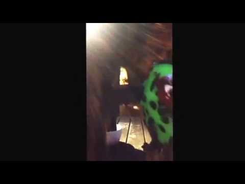 Alpha pet status is back in the mix ha