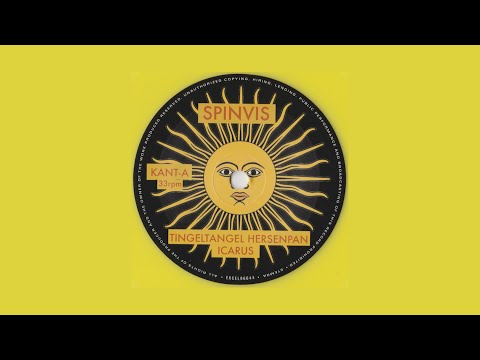 Spinvis • "Tingeltangel hersenpan" • Vinylversie • 2021