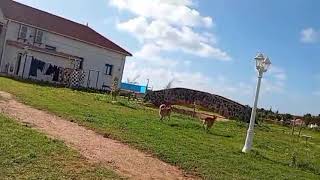 مرحبا بكم جميعا 😍De nada, todos vocês