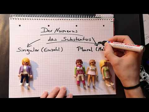 Der Numerus des Substantivs