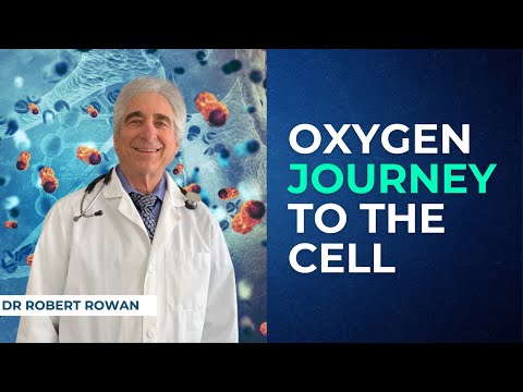 Oxygen Journey to the Cell