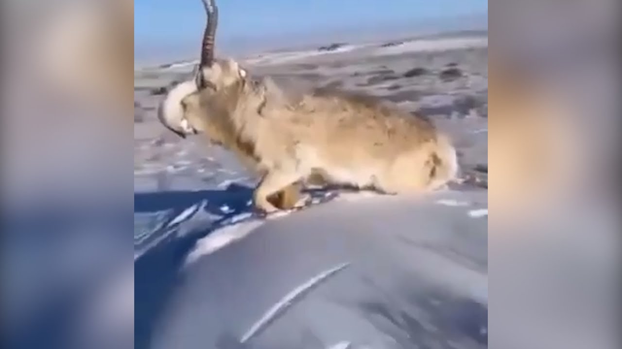 Յակուտիայում գրանցվել է ջերմաստիճանի ռեկորդ՝ -80°