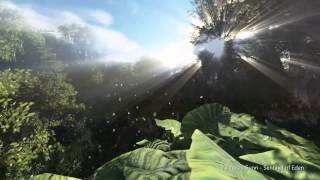 Nicholas Gunn - Sentinel of Eden