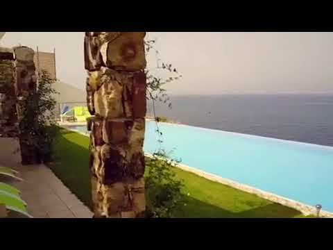 download lagu mp3 mp4 Couleur Méditerranée, download lagu Couleur Méditerranée gratis, unduh video klip Download Couleur Méditerranée Mp3 dan Mp4 Free All Gratis