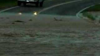 preview picture of video 'Flash Flood in Arizona'