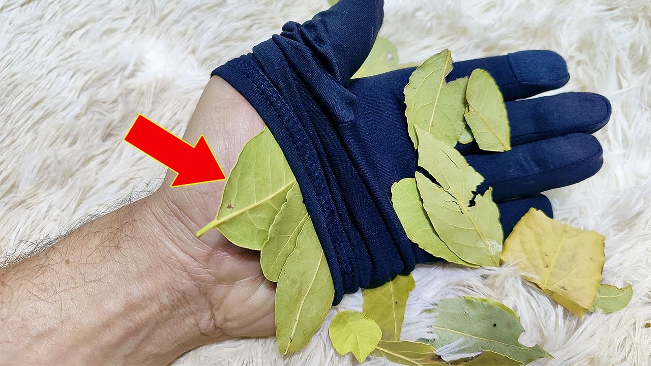 Put 1 bay leaf in your hands and don't spend more at the pharmacy (Did you know that?)