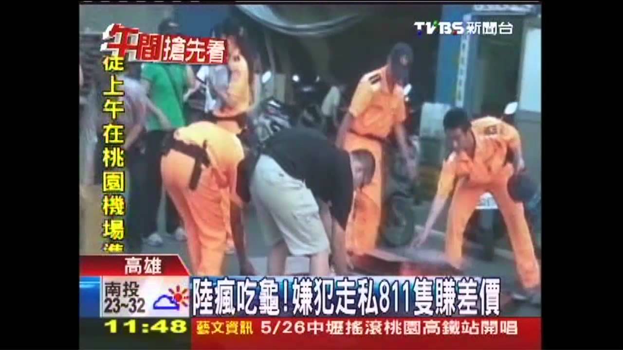 陸瘋吃龜! 嫌犯走私811隻賺差價