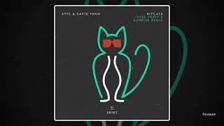 Atfc & David Penn - Hipcats (Jesse Perez's Sunrise Extended Remix) video