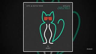 Atfc & David Penn - Hipcats (Jesse Perez's Sunrise Extended Remix) video