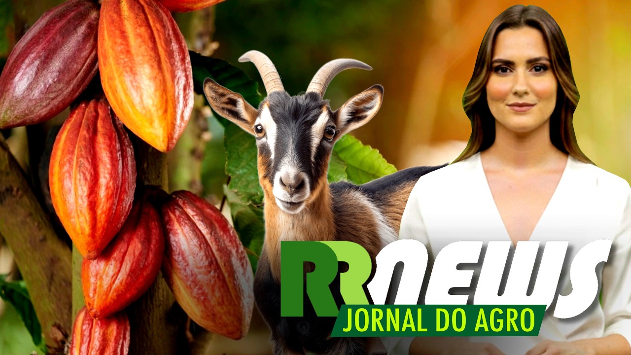 RRNEWS - O Jornal do Agro - 11/07/2026