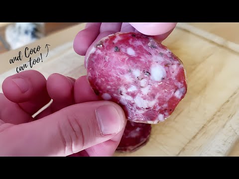 BASIC SALAMI RECIPE! (Dry Cured in Wine Fridge)  // Matt The Butcher