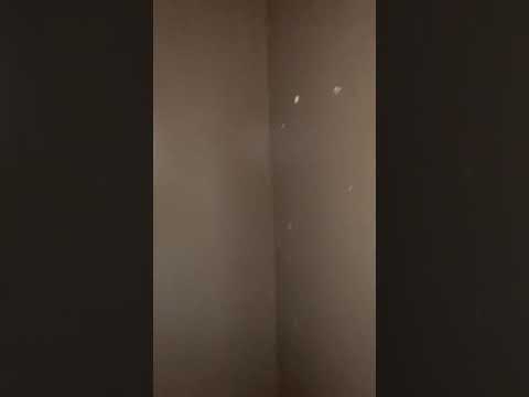 Prospect St, Brockton Ma