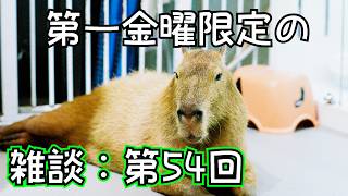 【ラジオ風雑談】毎月第一金曜20時のお酒を飲みながら：金八Z＃54