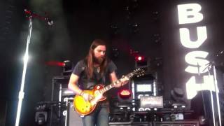 BUSH PRIZE FIGHTER LIVE