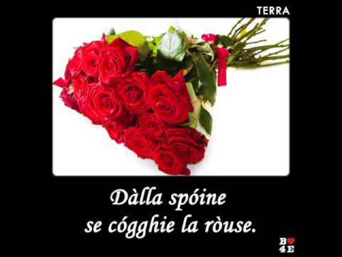 Proverbio di Bitonto - B4E – TE0140