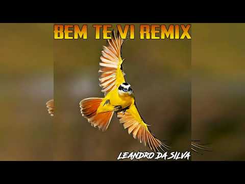 Bem Te Vi Remix