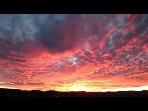 Celebra la vida juana