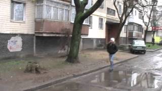 Memory. Devoted friends.