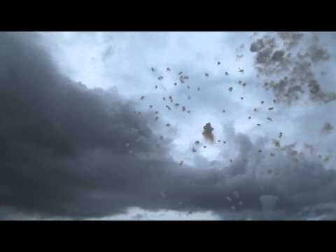 Adelfia San Trifone 2013