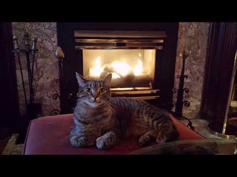 Ultra Nate - Love's the only drug (Muzzaik Mix)