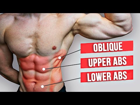 ABS Workout At Home For Men | 8 MIN NO EQUIPMENT