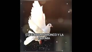 El caballo y la paloma Bronco