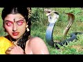 When The Shape Shifting Serpent Queen Came In Human Form For Revenge The Serpent S Revenge Lax