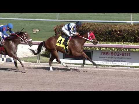 Gulfstream Park Replay Show | February 2, 2017
