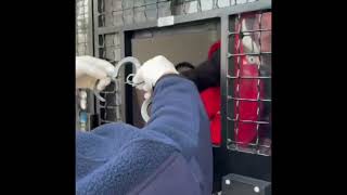 Wideo1: Prowadzi� samoch�d pijany i mimo s�dowego zakazu kierowania pojazdami