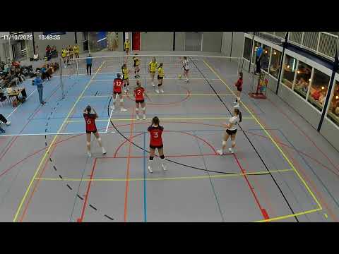 taurus d1 - Meerkerk  11-10-25  video 5