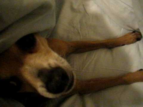 Quinton Hates Being Disturbed in Bed