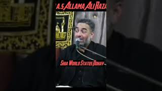 Hazrat Hur a.s | Allama Ali Raza Rizvi 😥 | New what's app Status Nohay