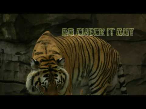 August 12th Power Trading Hour with David White on TFNN   2016