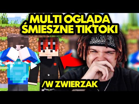 MULTI ogląda ŚMIESZNE TIKTOKI #42 /w ZWIERZAK