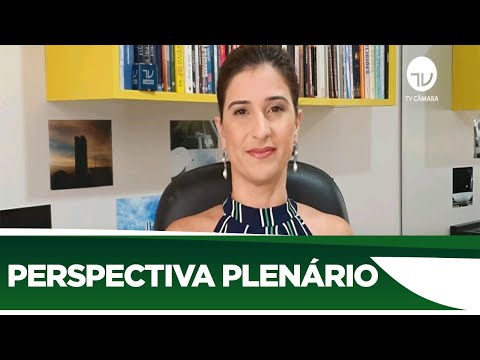 Confira a agenda do Plenário desta semana - 25/05/20