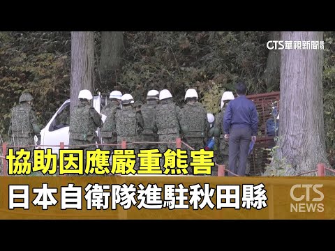 協助因應嚴重熊害　日本自衛隊進駐秋田縣