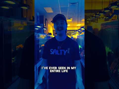 Goni OBSESSED! #brstv