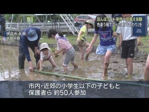 YouTube Video ７種類の稲を使い分けて田んぼアートを作る田植え体験　静岡・伊豆市