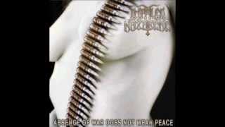 Impaled Nazarene - in to the eye of the storm