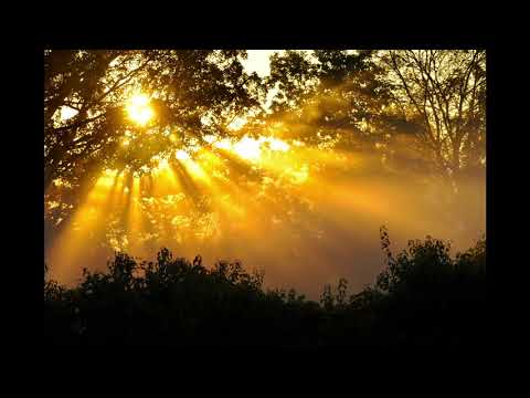 Myles Bone - HeyBaeYouGotMe