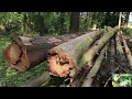 #amazonia - ROBERTO CARLOS - AMAZONIA - (Amazônia) 1.989