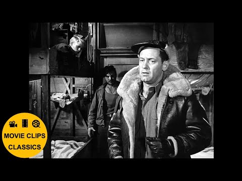 Stalag 17 (1953) - Sefton is brutally beaten