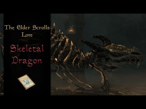 The Skeletal Dragon, where did it come from?  - The Elder Scrolls Lore
