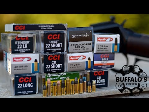 Henry .22 Lever Action cycling a variety of ammo