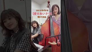 Download lagu コントラバスで【愛のあいさつ】#弾いてみた #コントラバス #クラシック #愛の挨拶 mp3 Download lagu コントラバスで【愛のあいさつ】#弾いてみた #コントラバス #クラシック #愛の挨拶 mp3